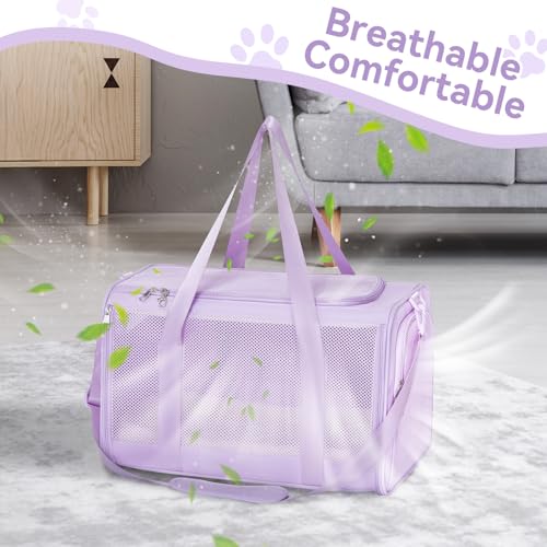 Large Cat Carrier with Patented Safety Buckles (19.0"L x 12.0"W x 12.0"H / Purple)