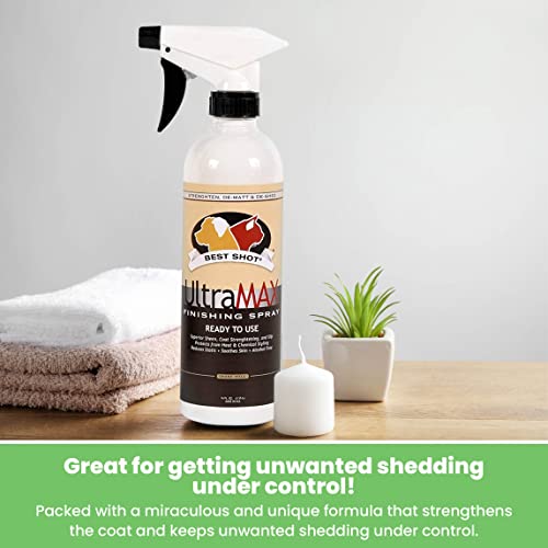 UltraMAX Pro Finishing Spray (Sweet Pea / 17 fl oz)