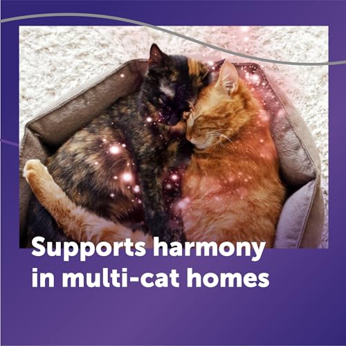 Optimum Cat Calming Pheromone Diffuser Kit (Translucent / 1 Pack)