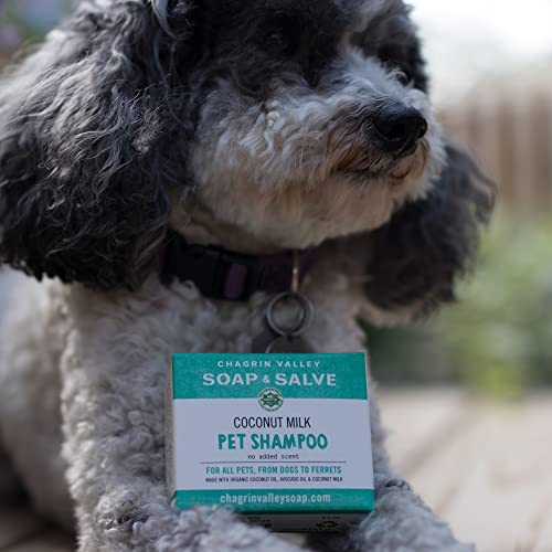 Certified Organic Dog Shampoo and Conditioner
