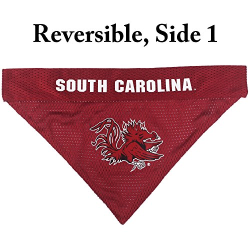 Collegiate Pet Accessories (Small/Medium / South Carolina Gamecocks)