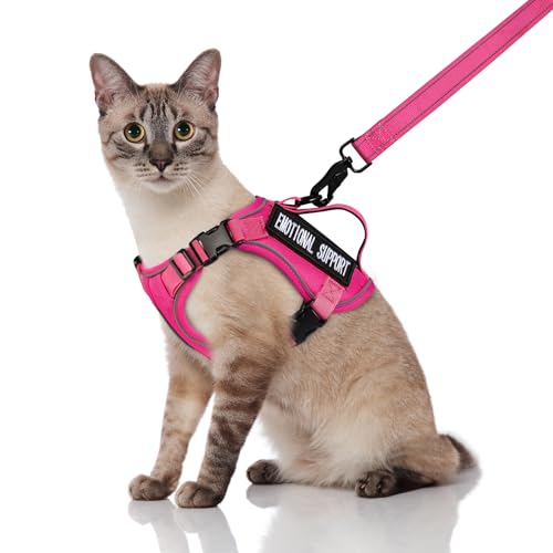 Tactical Cat Harness and Leash (Large / Pink)