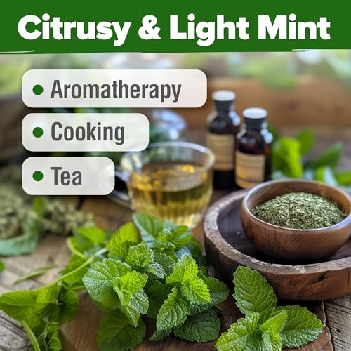 Lemon Balm Seeds