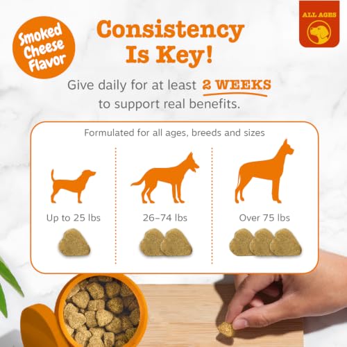 Vet Strength Dog Allergy Chews (90 Count (Pack of 1) - Vet Strength)