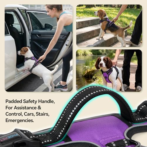 Reflective Dog Harness No Pull Large Breed Vest (Extra Large / Purple)