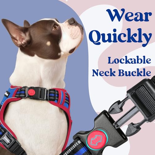 Dog Harness for Large (Blue & Red / Large)