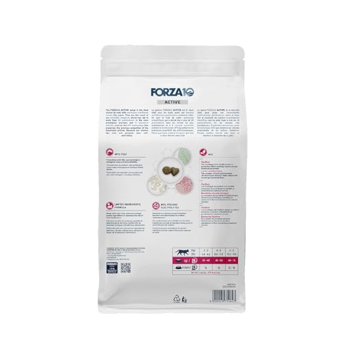 Intestinal Dry Cat Food for Sensitive Stomachs (3.3 Pound (Pack of 1))