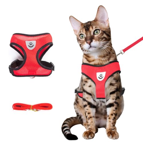 Red Cat Harness and Leash Set (red / L：(Neck:13.77" chest:16.53"-22.04"))