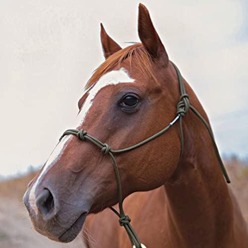 Horse Rope Training Halter (Pink / Weanling)