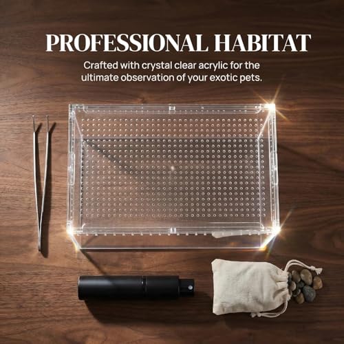Small Tarantula Enclosure 8×6×4" (A-S(8x6x4in))