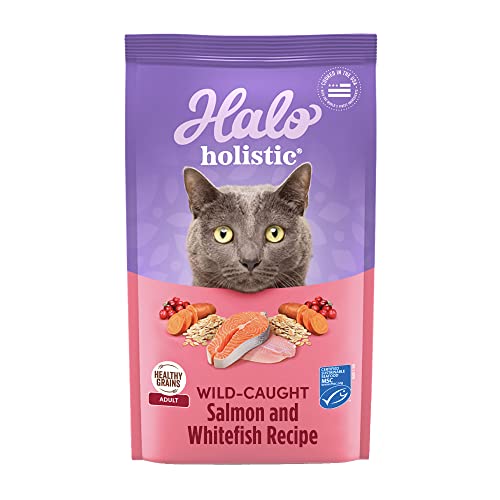Holistic Dry Cat Food