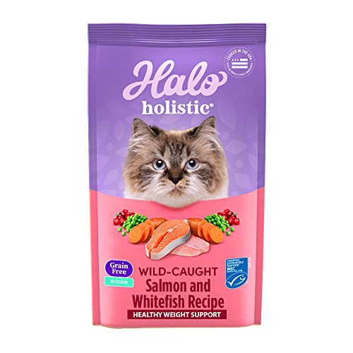 Holistic Indoor Dry Cat Food