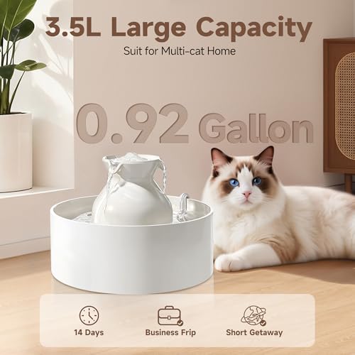Ceramic Cat Water Fountain