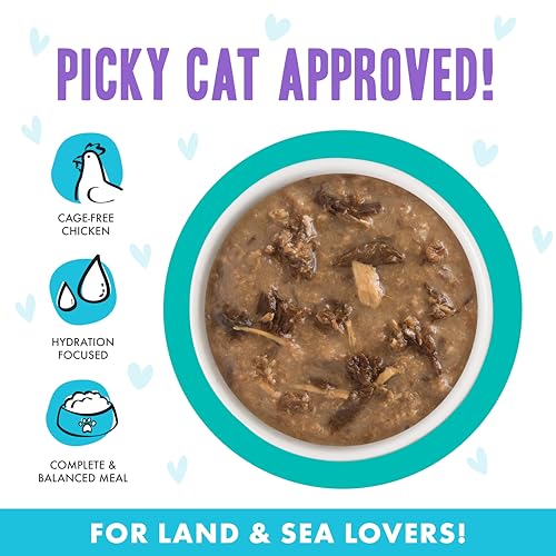 B.F.F. OMG Best Feline Friend Oh My Gravy! (2.8 Ounce (Pack of 12))