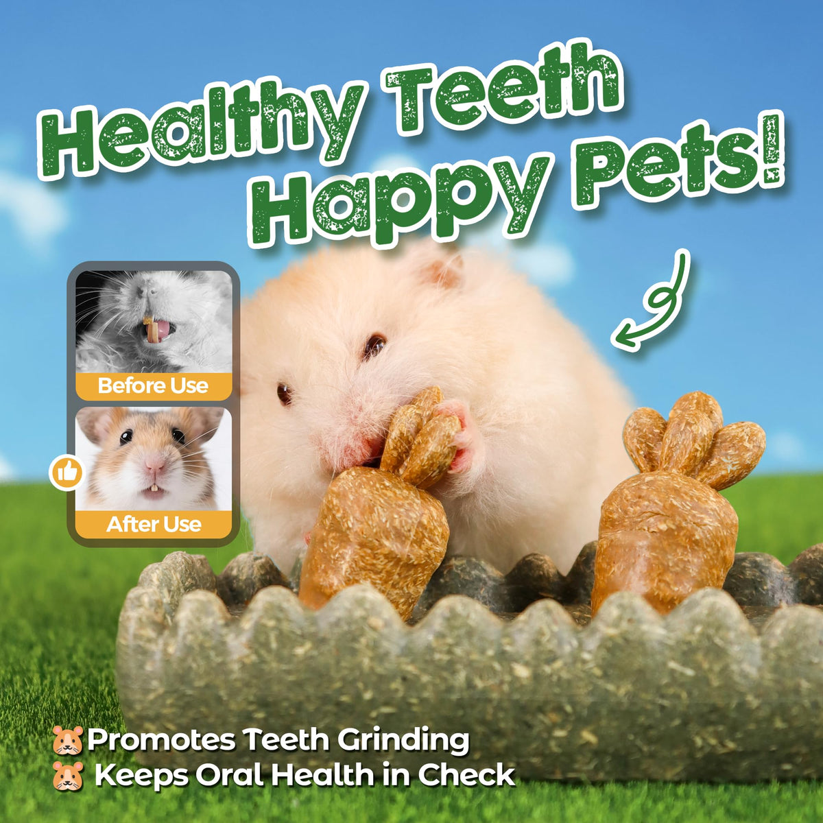 Guinea Pig Chew Toys (4PCS-Grass Patch & Carrots)