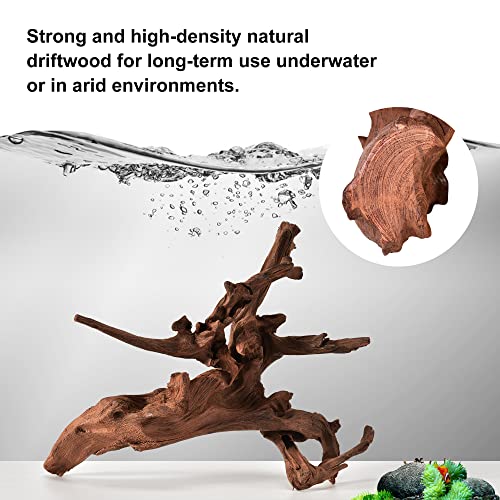 Natural Large Driftwood for Aquarium Decor Reptile Decor (Mopani Driftwood 12.5 to 18 Inch (Pack of 2))