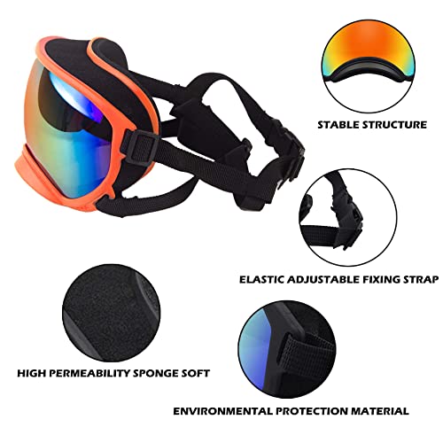 Large Dog Sunglasses