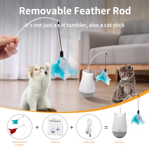 Cat Toys Interactive for Indoor (DPT01)