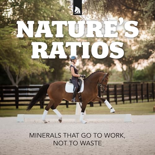 Rock Crushed Loose Mineral Salt Electrolyte Supplement for Horses (25 LBS)