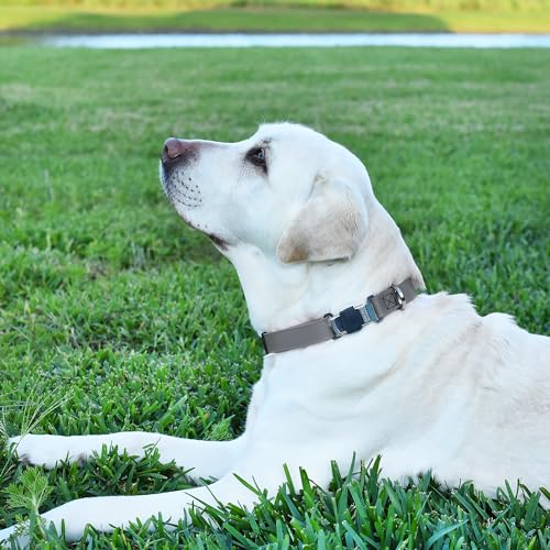 Biothane Waterproof Dog Collar with Herm Sprenger Stainless Steel Quick Release Buckle (W 1" x L 15"-25" / Battleship Gray)