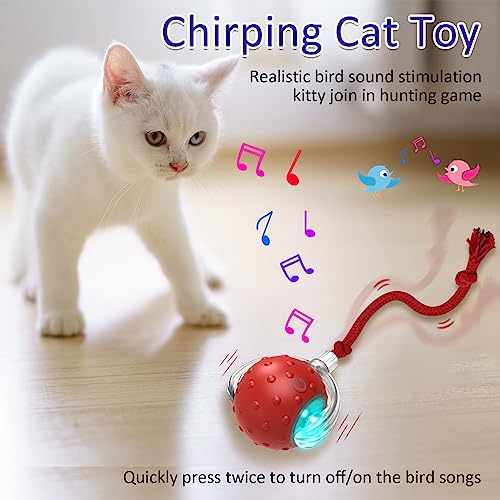 Interactive Cat Toys Ball for Indoor Cats Fast Rolling on Carpet