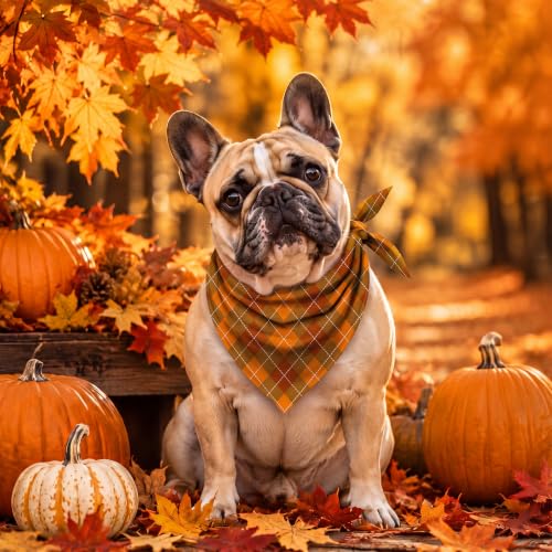 100 Pcs Fall Plaid Dog Bandanas Bulk Autumn Gingham Check Pattern (25.6 x 17.7 x 17.7 Inch / Fall Plaid)