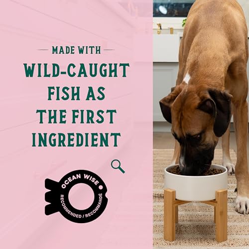Goodbowl Wild Caught Salmon Dry Dog Food (22 Pound (Pack of 1))