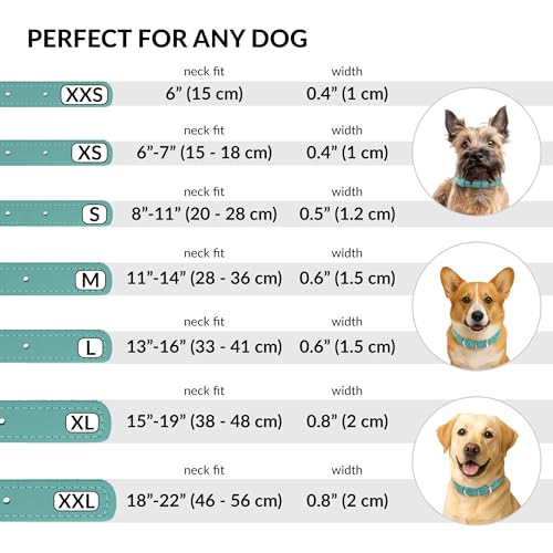 Tangle Free Rolled Leather Dog Collar (Mint Green Textured / XL)