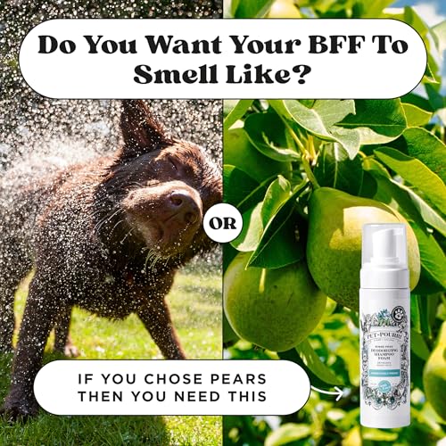 Rinse Free Deodorizing Dry Shampoo for Dogs & Cats (6 ounces)