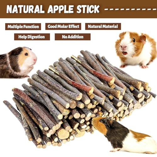 2lb Small Apple Sticks for Small Animals (900g)