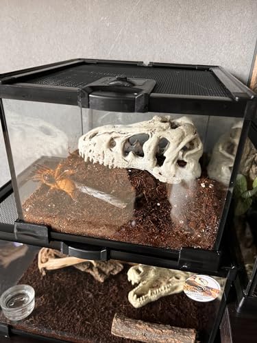 Mini Reptile Glass Terrarium Tank (7.9x7.9x5.7inch)