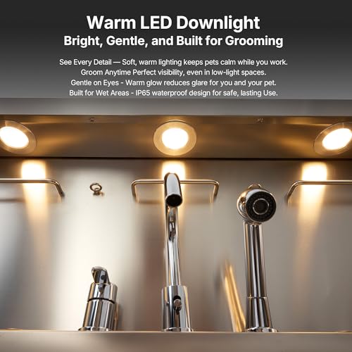 LED Dog Washing Station (61")