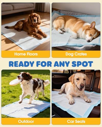 Puppy Pads for Dogs (Blue / 34" x 28" (100 Packs))