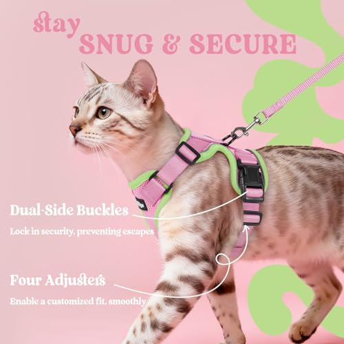 Cat Harness and Leash for Walking