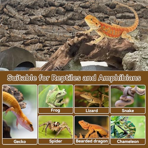 2PCS Natural Cork Terrarium Background (【11.81 x 11.81 In】)
