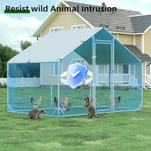 Metal Chicken Coop (9.8’L x 6.6’W x 6.4’H)