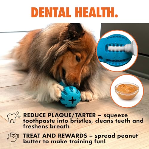 Max Fusion Weeble Dog Toy