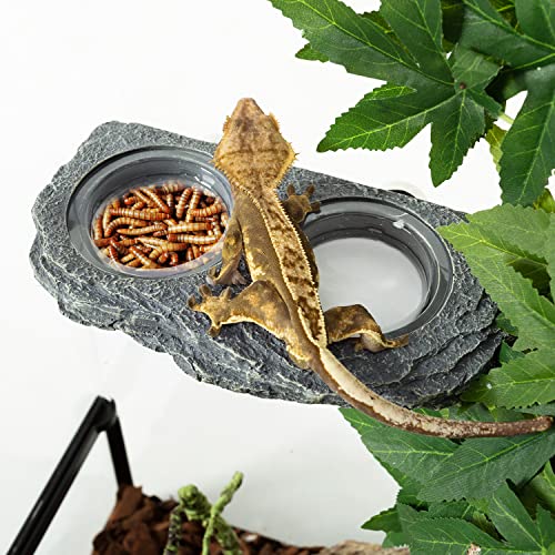 REPTIZOO Reptile Magnetic Feeder Ledge (Large)