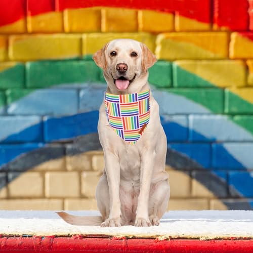 Rainbow Dog Bandana (Small / Rainbow)