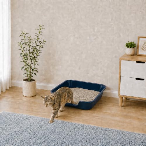 Extra Large Low Entry ABS Cat Litter Box (Large (Pack of 1) / Dark Blue)
