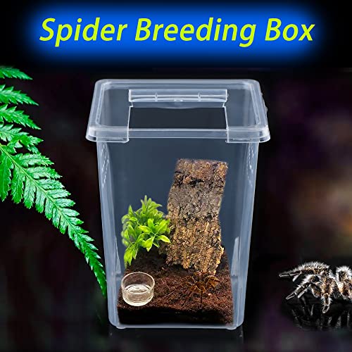 10 Pack Spider Terrariums Breeding Box Small Reptile Hatching Container Acrylic Feeding Box for Arboreal Spider Tarantula Mantis Scorpion Centipede Insect