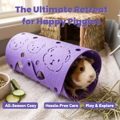 Guinea Pig Tunnel (Purple)
