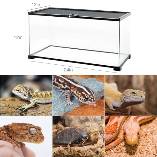 Full Glass 15 Gallon Reptile Tank (24"W X 12"D X 12"H (15 Gallon))