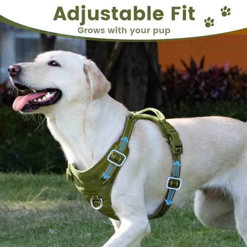No Pull Dog Harness Front Clip Handle (Misty Green / XS(Neck:11.8-16.5",Chest:14.2-19.7"))