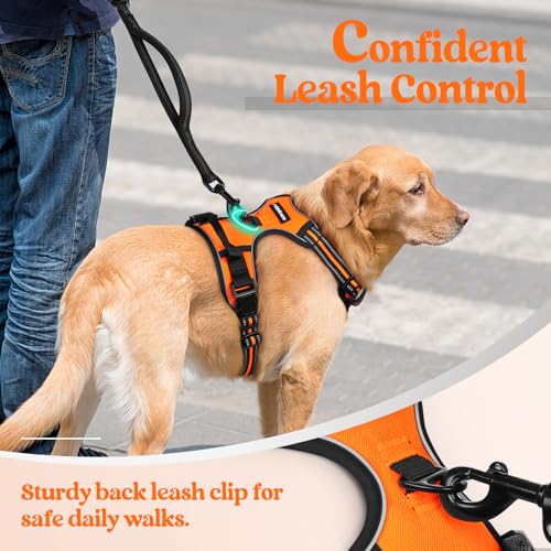 Dog Harness No Pull Medium Sized with 2 Leash Clips (Medium / Orange)