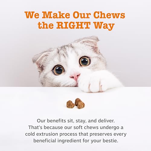 Hairball Bites for Cats (60 Count)