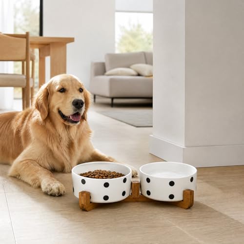 Dog Bowls Ceramic (Black Dot / 850ML*2)