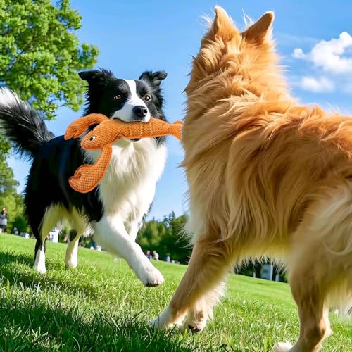 Squeaky Dog Toy No Stuffed Dog Toys (Orange)