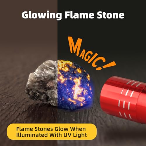 Volcano Dig Kits for Kids 4 (Volcano)