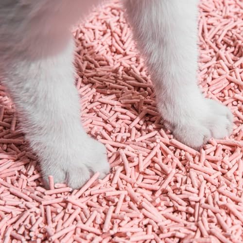 Tofu Cat Litter Natural Clumping Tofu Cat Litter (1 Pack / Peach)